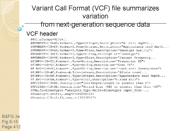 Variant Call Format (VCF) file summarizes variation from next-generation sequence data VCF header B&FG Variant Call Format (VCF) file summarizes variation from next-generation sequence data VCF header B&FG