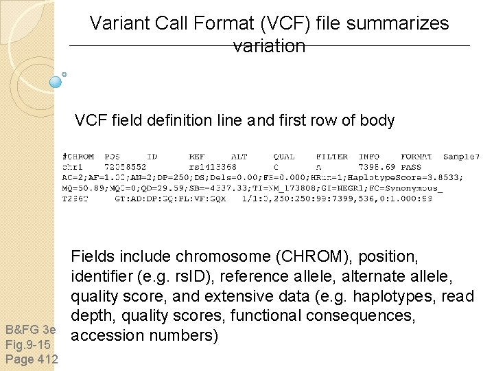 Variant Call Format (VCF) file summarizes variation VCF field definition line and first row Variant Call Format (VCF) file summarizes variation VCF field definition line and first row