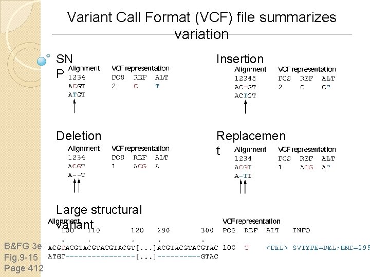Variant Call Format (VCF) file summarizes variation SN P Insertion Deletion Replacemen t Large Variant Call Format (VCF) file summarizes variation SN P Insertion Deletion Replacemen t Large