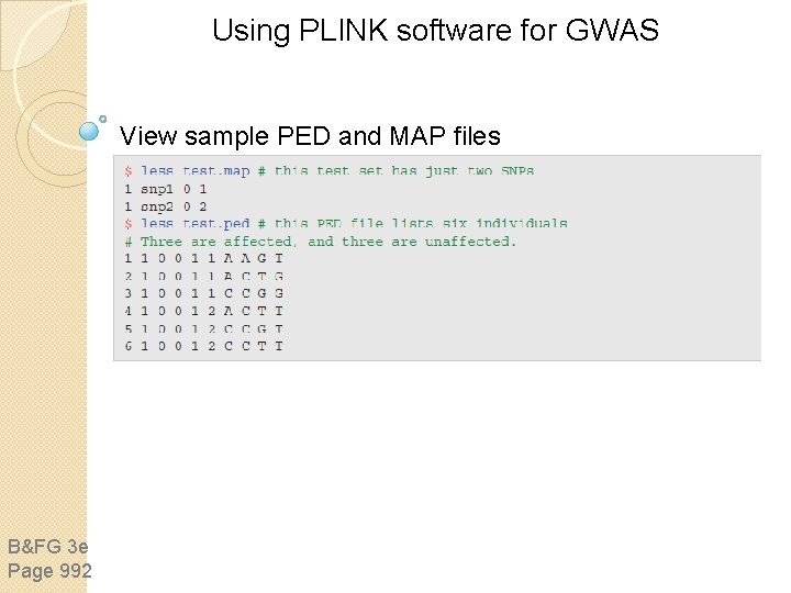 Using PLINK software for GWAS View sample PED and MAP files B&FG 3 e Using PLINK software for GWAS View sample PED and MAP files B&FG 3 e