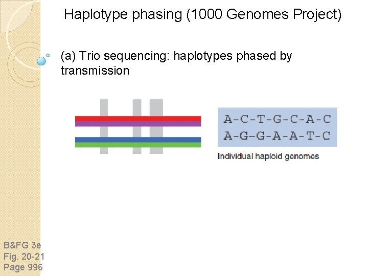 Haplotype phasing (1000 Genomes Project) (a) Trio sequencing: haplotypes phased by transmission B&FG 3 Haplotype phasing (1000 Genomes Project) (a) Trio sequencing: haplotypes phased by transmission B&FG 3