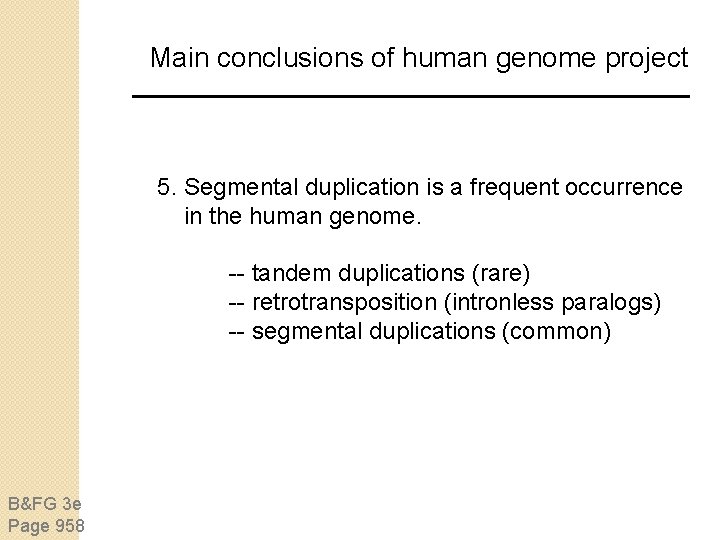 Main conclusions of human genome project 5. Segmental duplication is a frequent occurrence in Main conclusions of human genome project 5. Segmental duplication is a frequent occurrence in