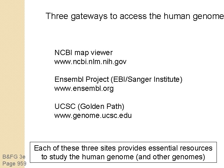 Three gateways to access the human genome NCBI map viewer www. ncbi. nlm. nih. Three gateways to access the human genome NCBI map viewer www. ncbi. nlm. nih.