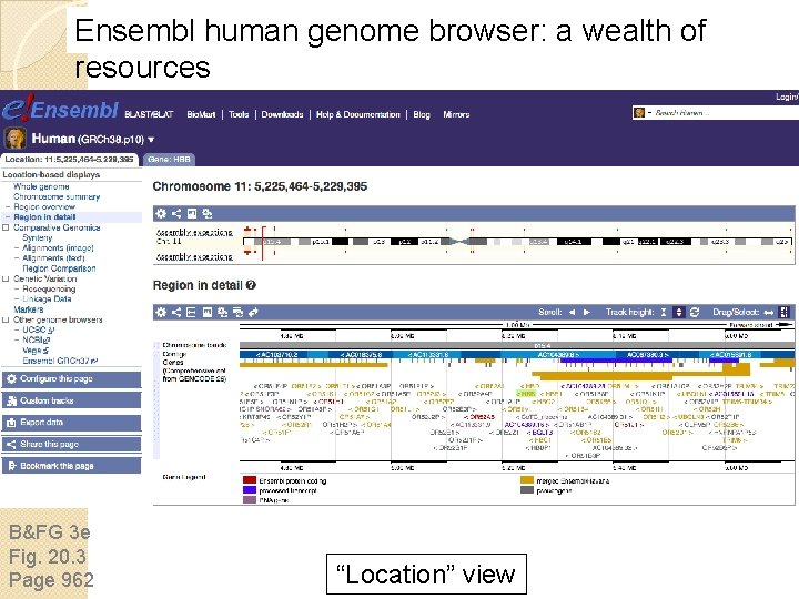 Ensembl human genome browser: a wealth of resources B&FG 3 e Fig. 20. 3 Ensembl human genome browser: a wealth of resources B&FG 3 e Fig. 20. 3