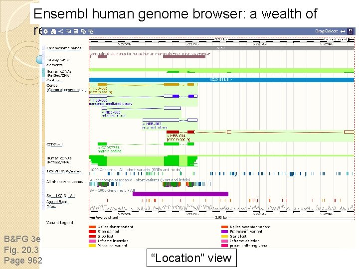 Ensembl human genome browser: a wealth of resources B&FG 3 e Fig. 20. 3 Ensembl human genome browser: a wealth of resources B&FG 3 e Fig. 20. 3