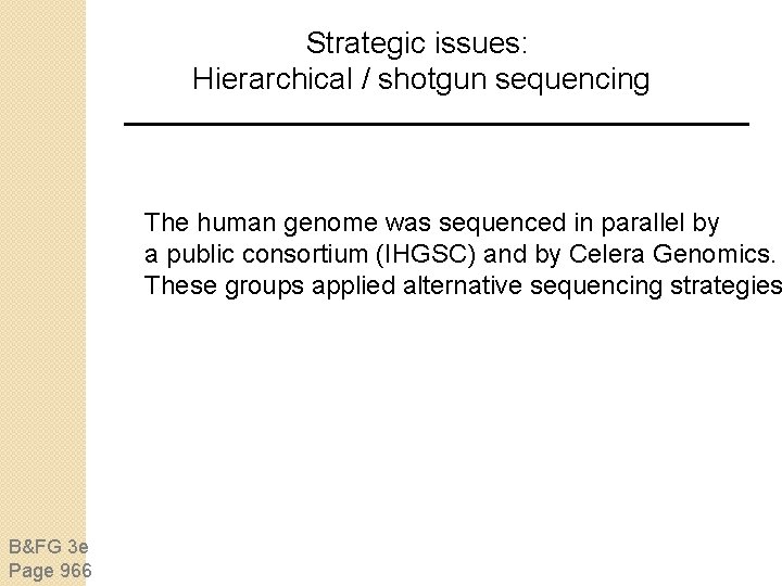 Strategic issues: Hierarchical / shotgun sequencing The human genome was sequenced in parallel by Strategic issues: Hierarchical / shotgun sequencing The human genome was sequenced in parallel by