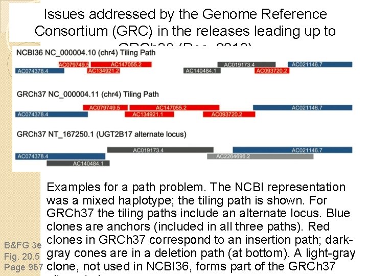Issues addressed by the Genome Reference Consortium (GRC) in the releases leading up to Issues addressed by the Genome Reference Consortium (GRC) in the releases leading up to