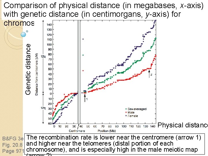 Genetic distance Comparison of physical distance (in megabases, x-axis) with genetic distance (in centimorgans, Genetic distance Comparison of physical distance (in megabases, x-axis) with genetic distance (in centimorgans,