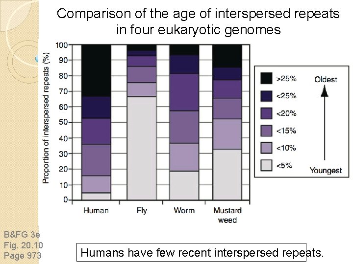 Comparison of the age of interspersed repeats in four eukaryotic genomes B&FG 3 e Comparison of the age of interspersed repeats in four eukaryotic genomes B&FG 3 e