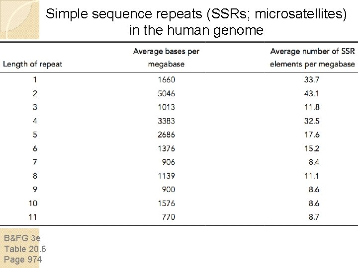 Simple sequence repeats (SSRs; microsatellites) in the human genome B&FG 3 e Table 20. Simple sequence repeats (SSRs; microsatellites) in the human genome B&FG 3 e Table 20.