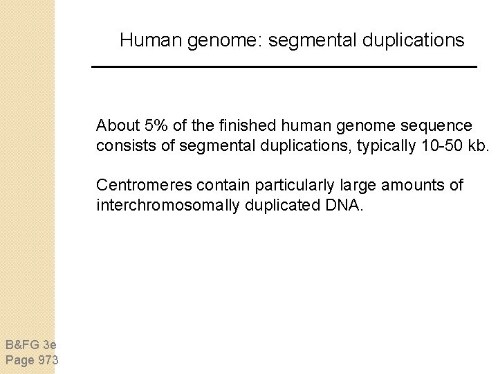 Human genome: segmental duplications About 5% of the finished human genome sequence consists of Human genome: segmental duplications About 5% of the finished human genome sequence consists of