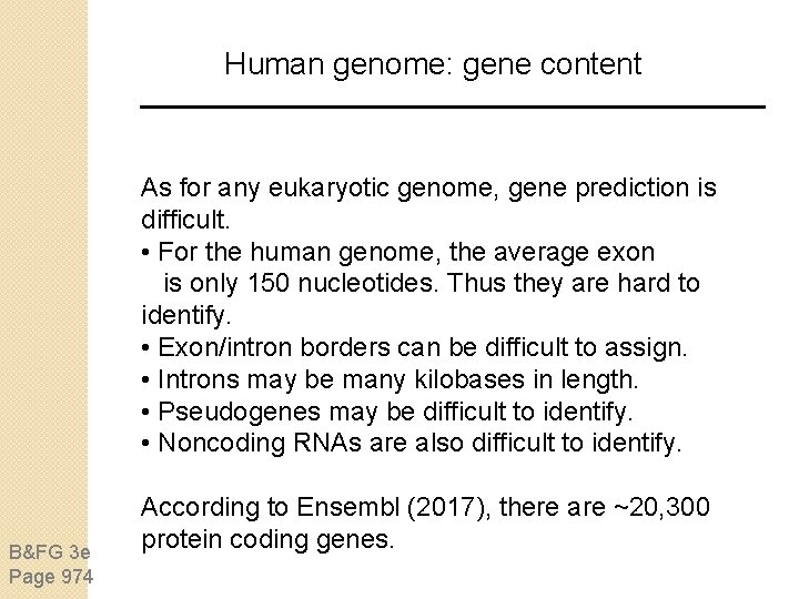 Human genome: gene content As for any eukaryotic genome, gene prediction is difficult. • Human genome: gene content As for any eukaryotic genome, gene prediction is difficult. •