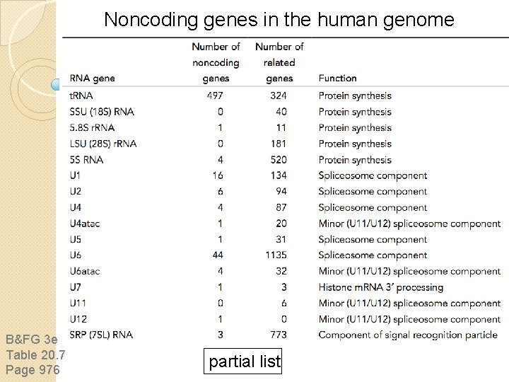 Noncoding genes in the human genome B&FG 3 e Table 20. 7 Page 976 Noncoding genes in the human genome B&FG 3 e Table 20. 7 Page 976
