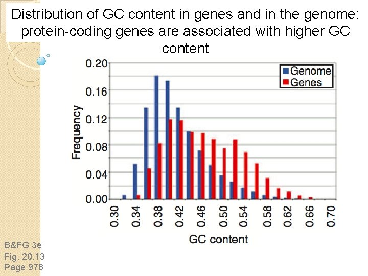 Distribution of GC content in genes and in the genome: protein-coding genes are associated Distribution of GC content in genes and in the genome: protein-coding genes are associated