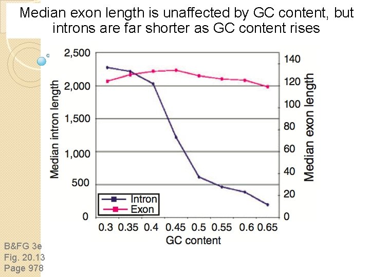 Median exon length is unaffected by GC content, but introns are far shorter as Median exon length is unaffected by GC content, but introns are far shorter as