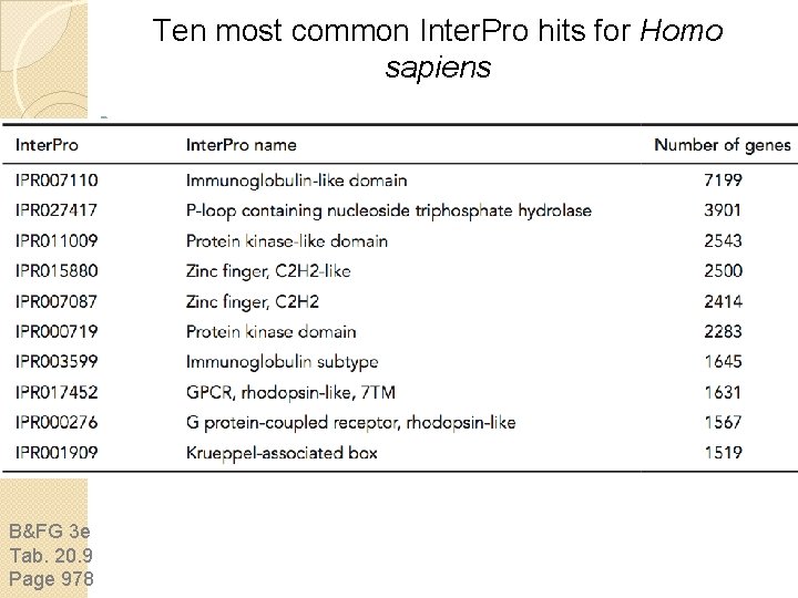 Ten most common Inter. Pro hits for Homo sapiens B&FG 3 e Tab. 20. Ten most common Inter. Pro hits for Homo sapiens B&FG 3 e Tab. 20.