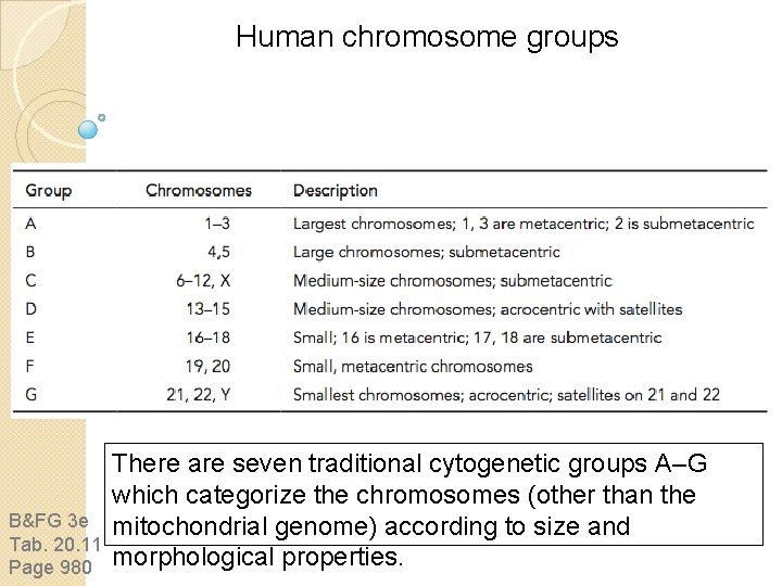 Human chromosome groups B&FG 3 e Tab. 20. 11 Page 980 There are seven Human chromosome groups B&FG 3 e Tab. 20. 11 Page 980 There are seven