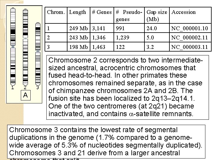 Chrom. Length A # Genes # Pseudo- Gap size Accession genes (Mb) 1 249 Chrom. Length A # Genes # Pseudo- Gap size Accession genes (Mb) 1 249