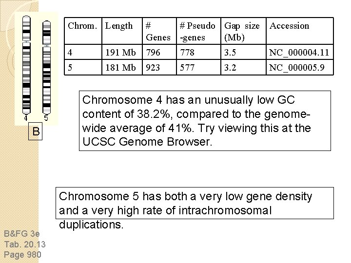 B B&FG 3 e Tab. 20. 13 Page 980 Chrom. Length # # Pseudo B B&FG 3 e Tab. 20. 13 Page 980 Chrom. Length # # Pseudo