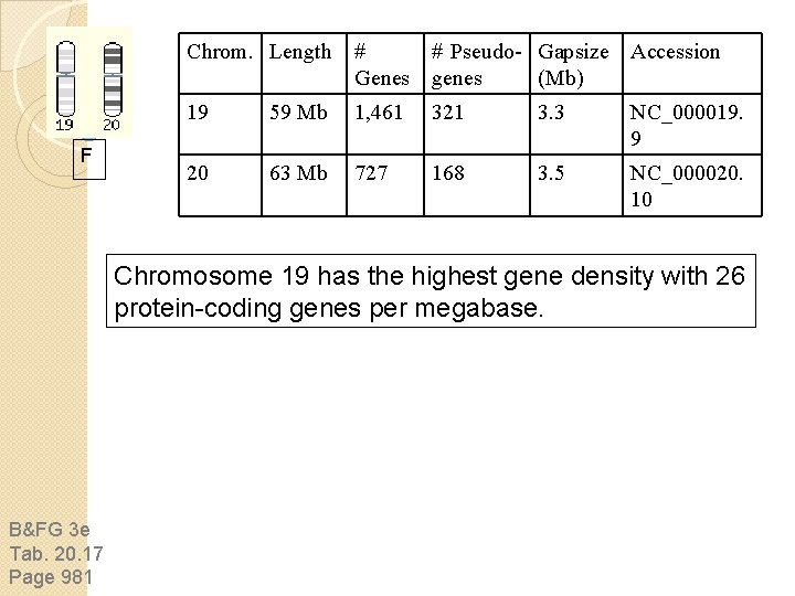 F Chrom. Length # # Pseudo- Gapsize Accession Genes genes (Mb) 19 59 Mb F Chrom. Length # # Pseudo- Gapsize Accession Genes genes (Mb) 19 59 Mb