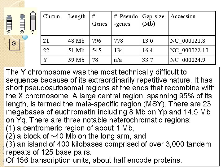 G Chrom. Length # Genes # Pseudo Gap size Accession -genes (Mb) 21 48 G Chrom. Length # Genes # Pseudo Gap size Accession -genes (Mb) 21 48