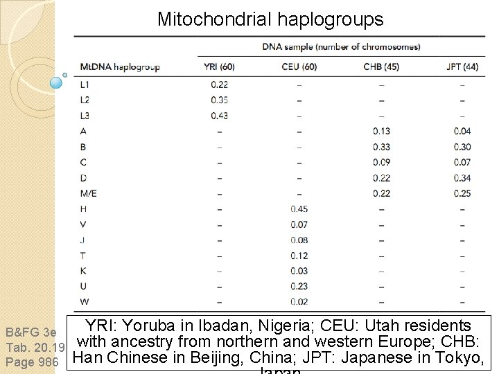 Mitochondrial haplogroups B&FG 3 e Tab. 20. 19 Page 986 YRI: Yoruba in Ibadan, Mitochondrial haplogroups B&FG 3 e Tab. 20. 19 Page 986 YRI: Yoruba in Ibadan,