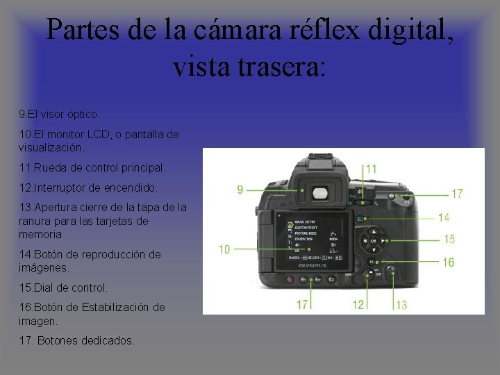 Partes de la cámara réflex digital, vista trasera: 9. El visor óptico. 10. El