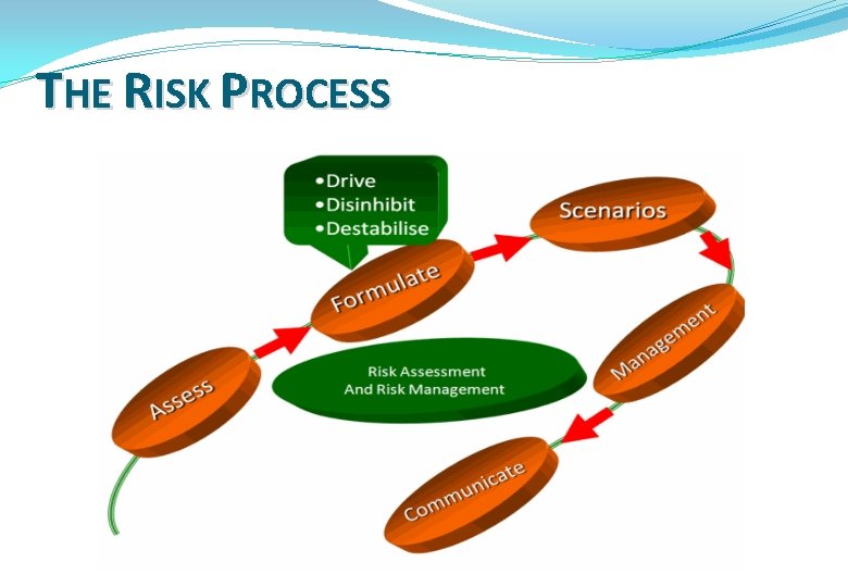 THE RISK PROCESS 