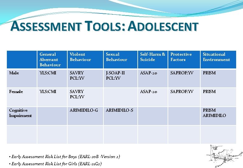 ASSESSMENT TOOLS: ADOLESCENT General Aberrant Behaviour Violent Behaviour Sexual Behaviour Self-Harm & Suicide Protective