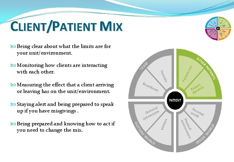 CLIENT/PATIENT MIX Being clear about what the limits are for your unit/environment. Monitoring how