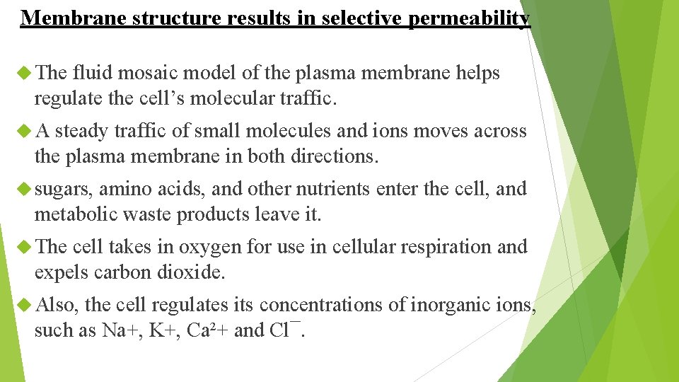 Membrane structure results in selective permeability The fluid mosaic model of the plasma membrane