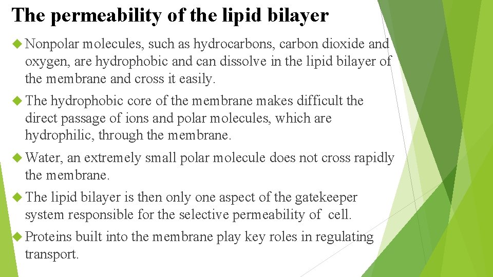 The permeability of the lipid bilayer Nonpolar molecules, such as hydrocarbons, carbon dioxide and