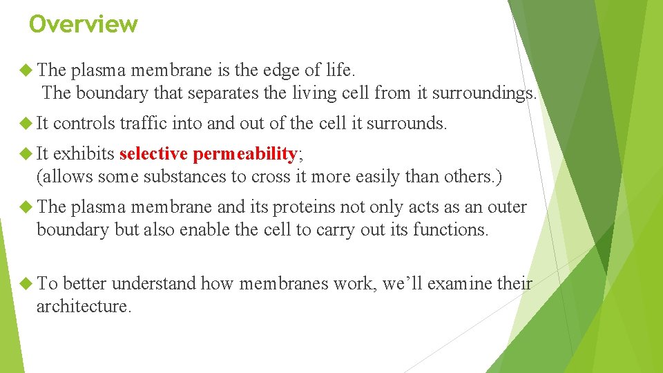 Overview The plasma membrane is the edge of life. The boundary that separates the