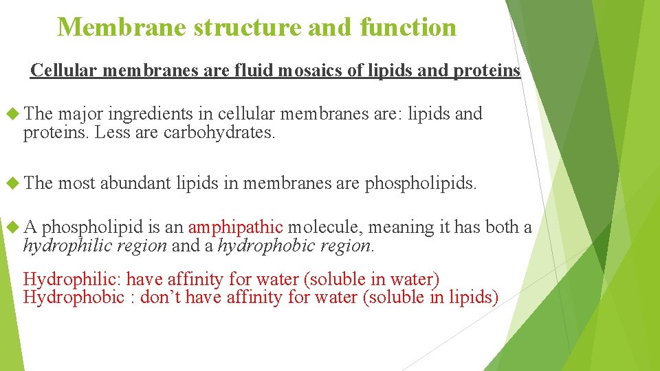 Membrane structure and function Cellular membranes are fluid mosaics of lipids and proteins The