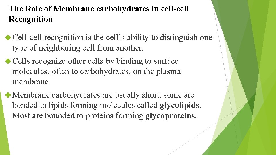 The Role of Membrane carbohydrates in cell-cell Recognition Cell-cell recognition is the cell’s ability