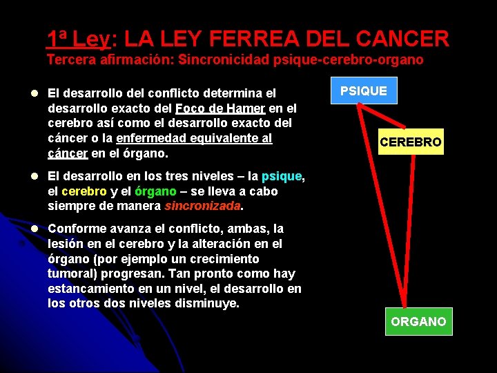 1ª Ley: LA LEY FERREA DEL CANCER Tercera afirmación: Sincronicidad psique-cerebro-organo El desarrollo del