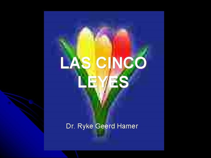 LAS CINCO LEYES Dr. Ryke Geerd Hamer 