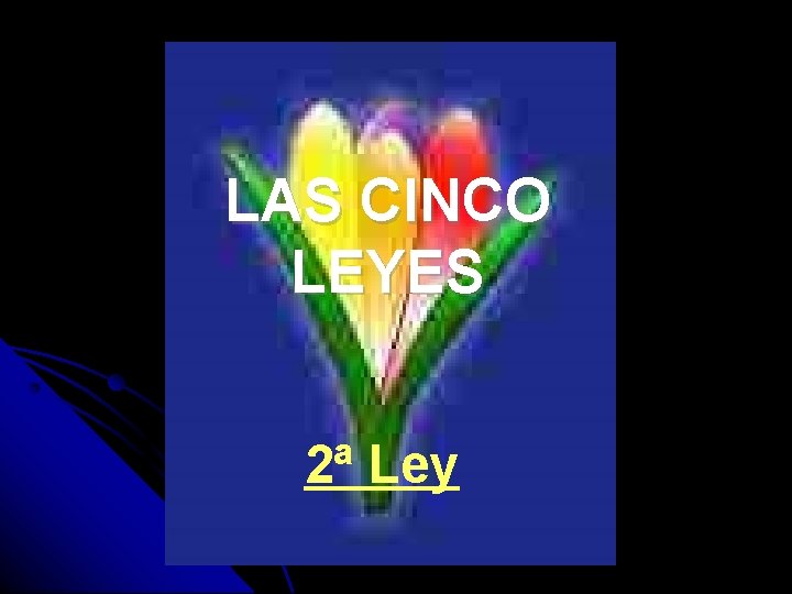 LAS CINCO LEYES 2ª Ley 