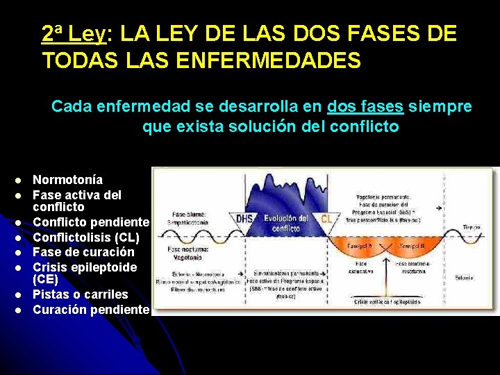 2ª Ley: LA LEY DE LAS DOS FASES DE TODAS LAS ENFERMEDADES Cada enfermedad