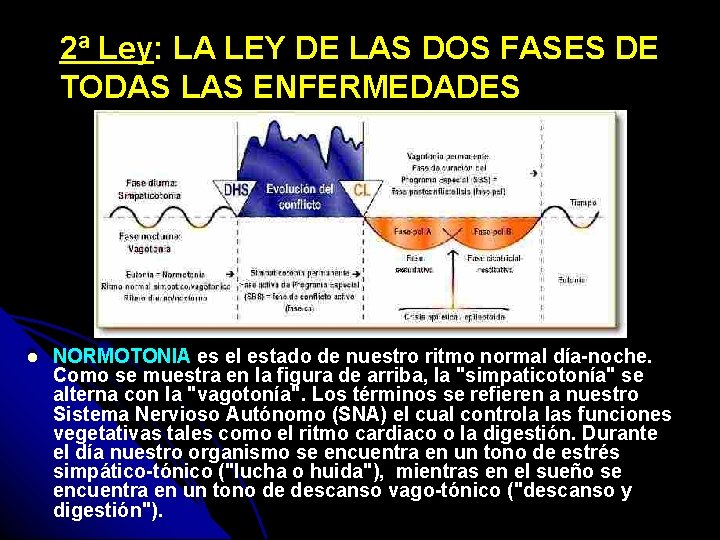 2ª Ley: LA LEY DE LAS DOS FASES DE TODAS LAS ENFERMEDADES NORMOTONIA es