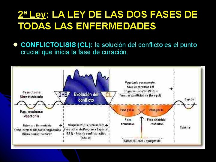 2ª Ley: LA LEY DE LAS DOS FASES DE TODAS LAS ENFERMEDADES CONFLICTOLISIS (CL):