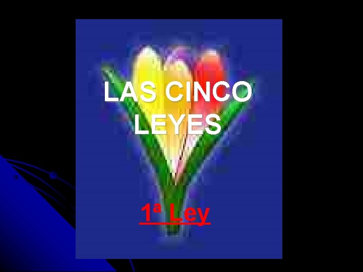 LAS CINCO LEYES 1ª Ley 
