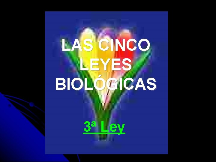 LAS CINCO LEYES BIOLÓGICAS 3ª Ley 