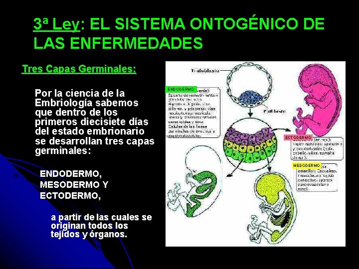 3ª Ley: EL SISTEMA ONTOGÉNICO DE LAS ENFERMEDADES Tres Capas Germinales: Por la ciencia
