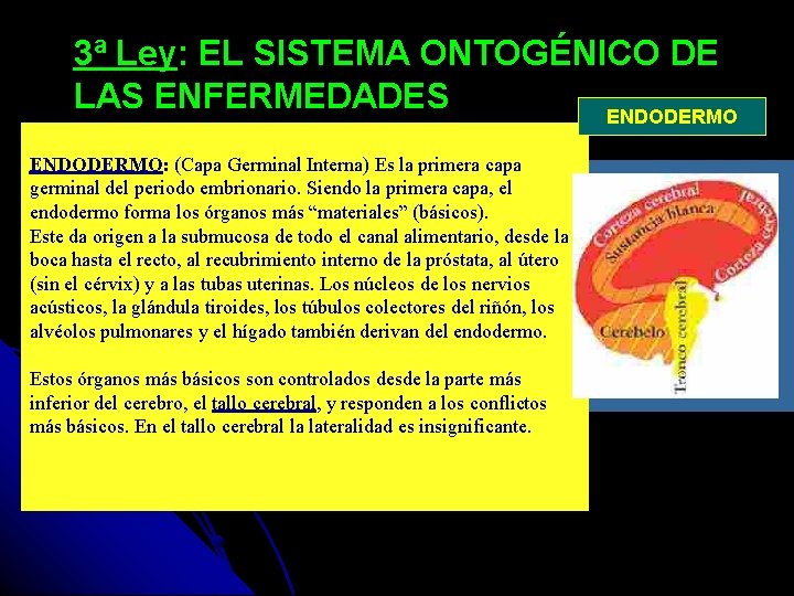 3ª Ley: EL SISTEMA ONTOGÉNICO DE LAS ENFERMEDADES ENDODERMO: (Capa Germinal Interna) Es la