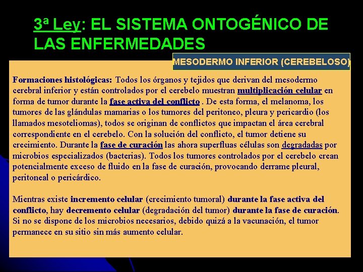 3ª Ley: EL SISTEMA ONTOGÉNICO DE LAS ENFERMEDADES MESODERMO INFERIOR (CEREBELOSO) Formaciones histológicas: Todos