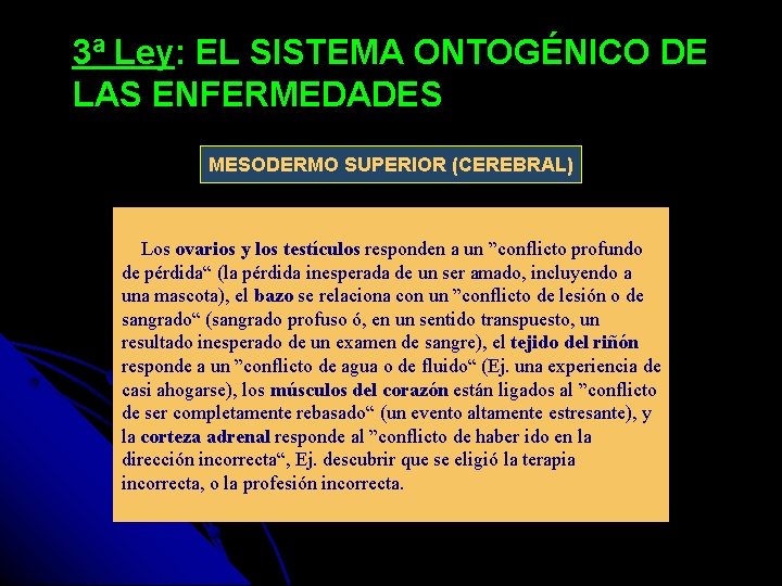 3ª Ley: EL SISTEMA ONTOGÉNICO DE LAS ENFERMEDADES MESODERMO SUPERIOR (CEREBRAL) Los ovarios y