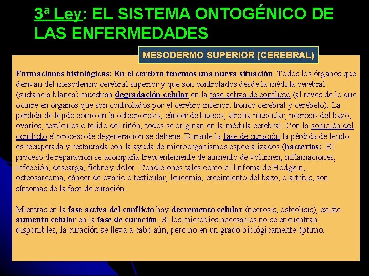 3ª Ley: EL SISTEMA ONTOGÉNICO DE LAS ENFERMEDADES MESODERMO SUPERIOR (CEREBRAL) Formaciones histológicas: En
