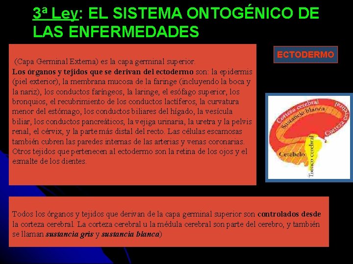 3ª Ley: EL SISTEMA ONTOGÉNICO DE LAS ENFERMEDADES (Capa Germinal Externa) es la capa