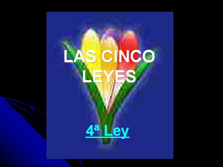 LAS CINCO LEYES 4ª Ley 